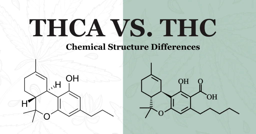 What Is The Difference Between THC-A And Delta 9