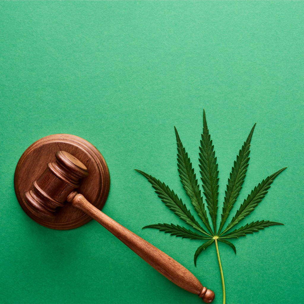 We Need Your Help To Save Hemp in 2026