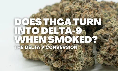 Does THC-A Turn Into Delta 9 When Smoked